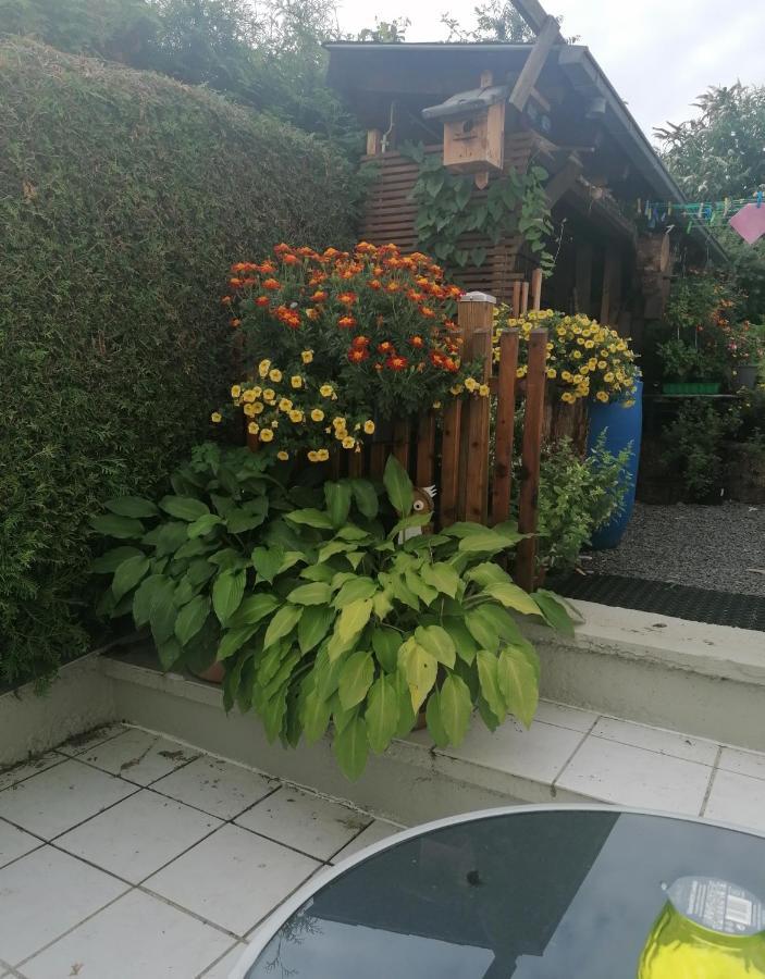 Ferienwohnung Grete Trewir Zewnętrze zdjęcie